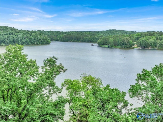 water view with a forest view