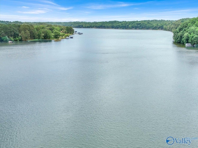 water view featuring a forest view