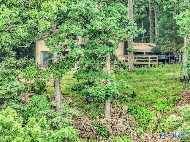 view of yard with a view of trees