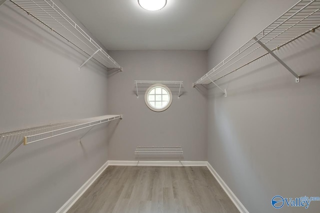 walk in closet featuring light wood finished floors