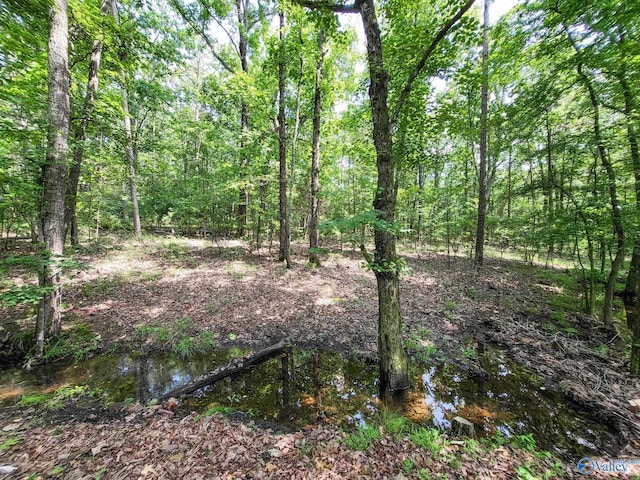 view of local wilderness featuring a water view