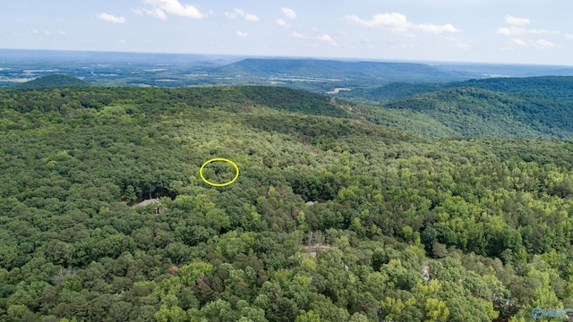 drone / aerial view featuring a mountain view