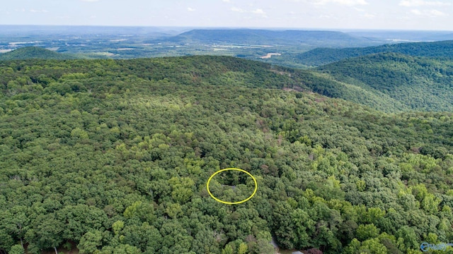 bird's eye view with a mountain view