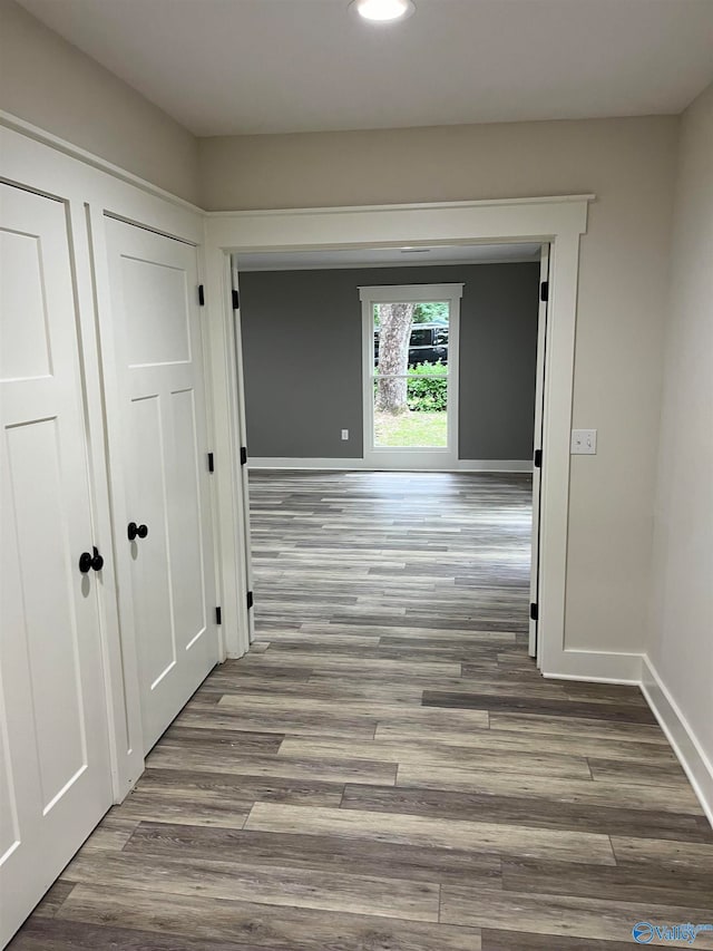 hall featuring wood-type flooring