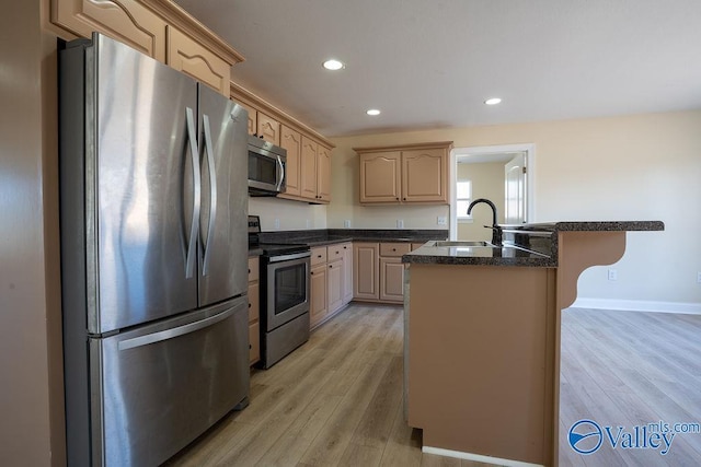 kitchen featuring light wood-type flooring, light brown cabinets, appliances with stainless steel finishes, and a sink