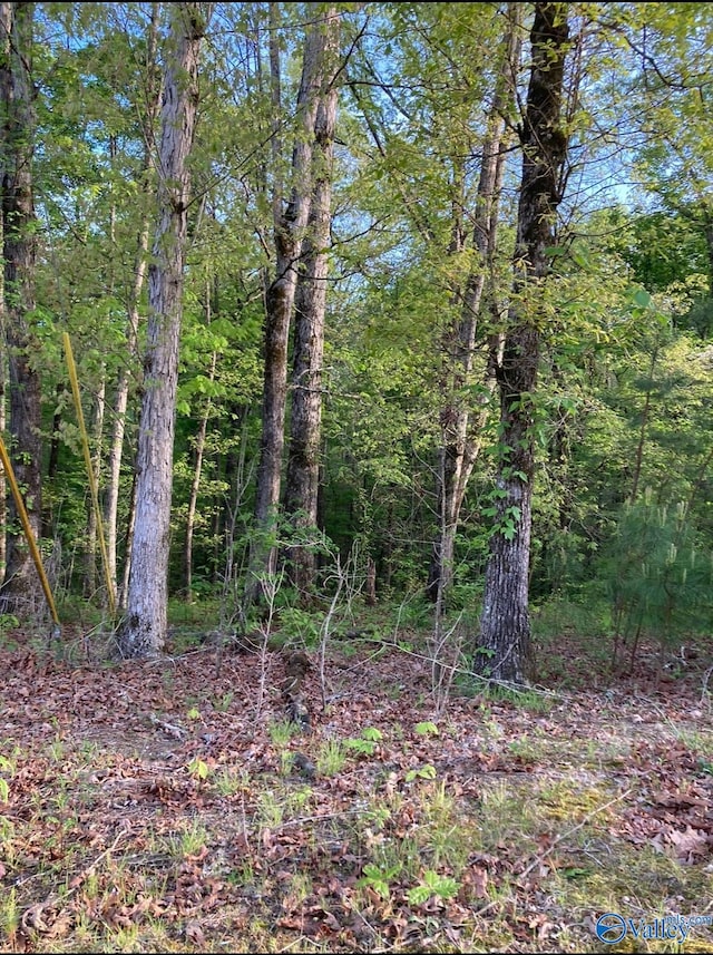 LOT1 Louise Ave, Southside AL, 35907 land for sale