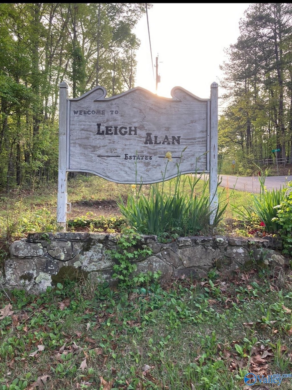 LOT1 Louise Ave, Southside, AL 35907