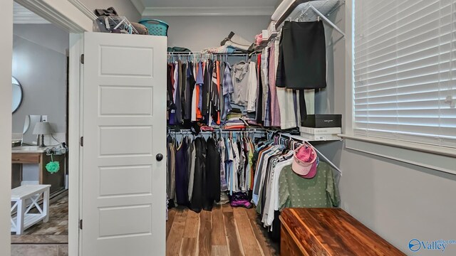 25 Cypress Grove Ln, Huntsville, AL 35824 - walk in closet featuring wood finished floors