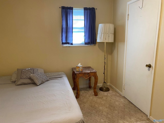 bedroom with carpet