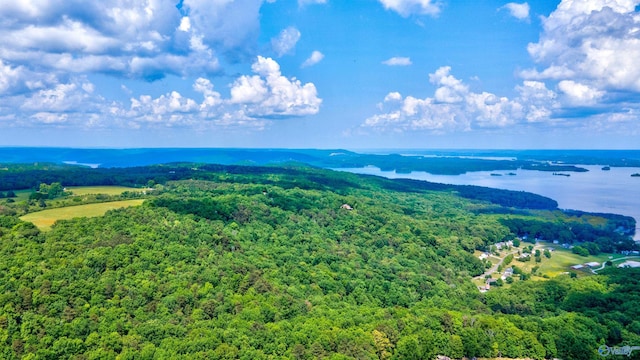 60 Legendary Dr, Guntersville AL, 35976 land for sale