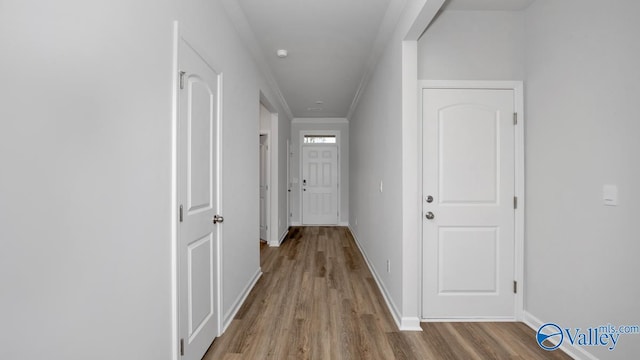 22401 Westminster Dr, Athens, AL 35613 - corridor with wood finished floors, baseboards, and ornamental molding