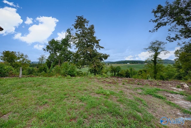 view of yard featuring a rural view