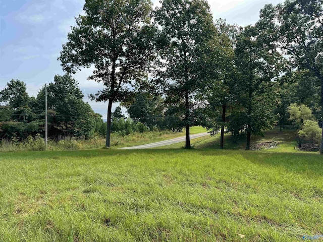 113 High Bluff Dr, Gurley, AL 35748