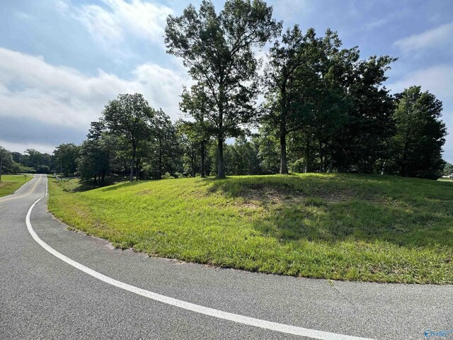 113 High Bluff Dr, Gurley, AL 35748