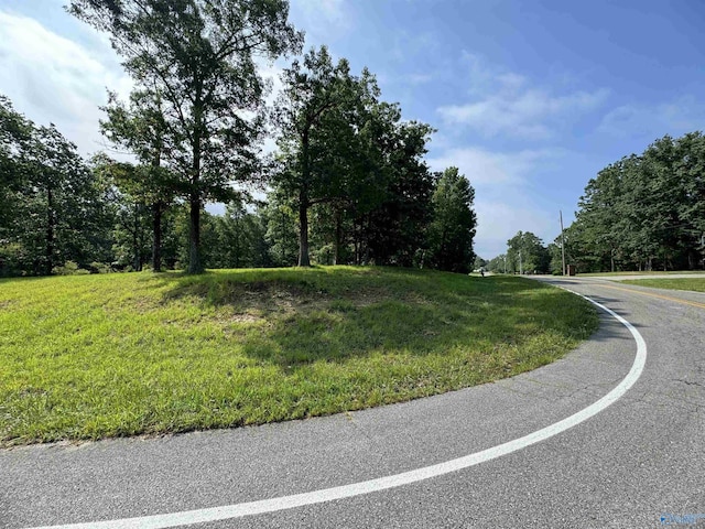 113 High Bluff Dr, Gurley, AL 35748