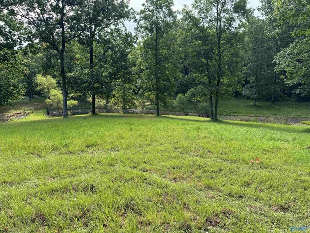 113 High Bluff Dr, Gurley, AL 35748