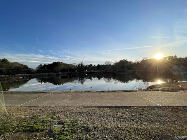 property view of water