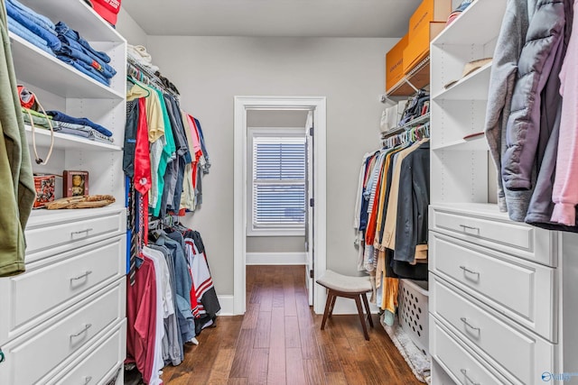 spacious closet with dark wood-type flooring