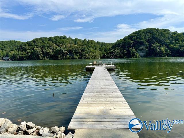 dock area featuring a water view and a view of trees