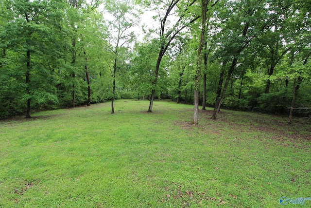 730 John Cabaniss Rd, Langston, AL 35755 - view of yard with a wooded view