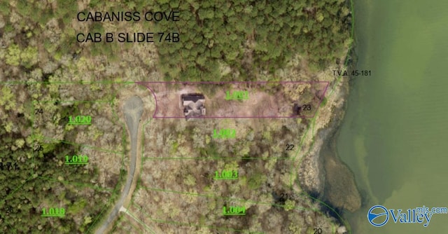 730 John Cabaniss Rd, Langston, AL 35755 - map location