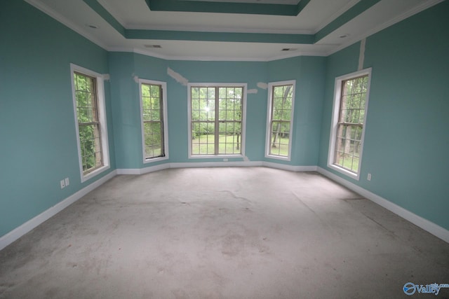 730 John Cabaniss Rd, Langston, AL 35755 - spare room with a raised ceiling, ornamental molding, and baseboards