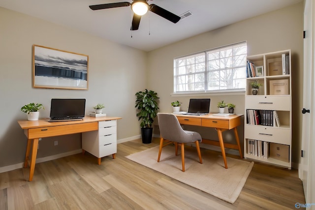 office space featuring light hardwood / wood-style floors and ceiling fan