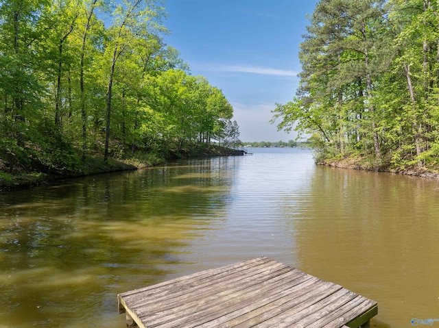 970 County Road 454, Centre, AL 35960 - dock area with a water view