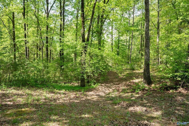 970 County Road 454, Centre, AL 35960 - view of landscape with a wooded view
