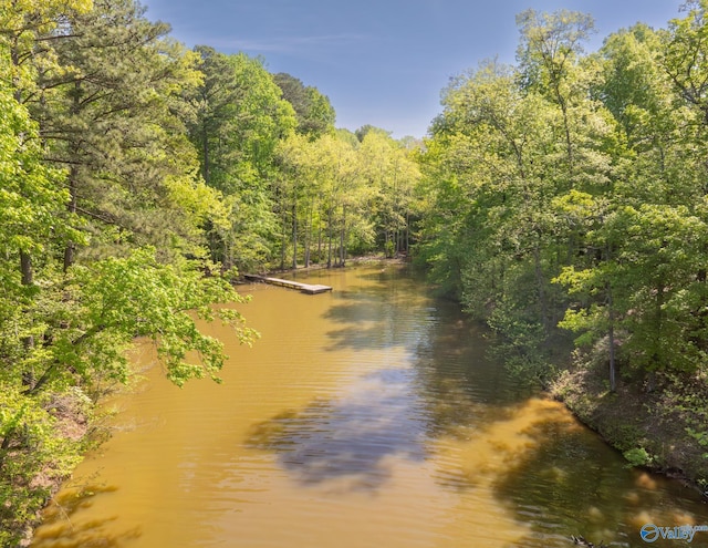970 County Road 454, Centre, AL 35960 - view of water feature with a view of trees