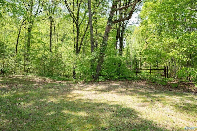 970 County Road 454, Centre, AL 35960 - view of yard with a view of trees and fence