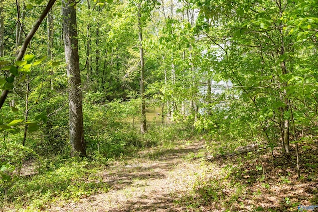 970 County Road 454, Centre, AL 35960 - view of nature with a forest view