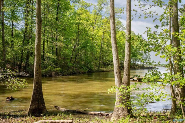 970 County Road 454, Centre, AL 35960 - property view of water
