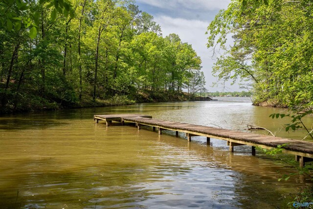 970 County Road 454, Centre, AL 35960 - view of dock with a water view