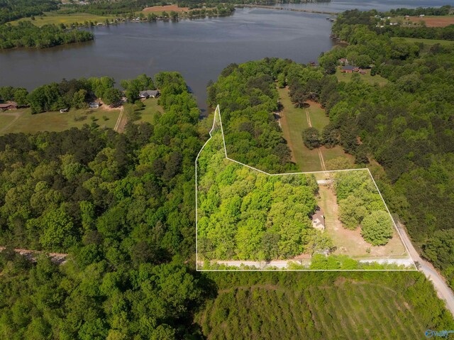 970 County Road 454, Centre, AL 35960 - birds eye view of property featuring a view of trees and a water view