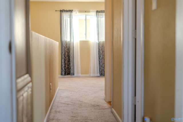 hall with light colored carpet