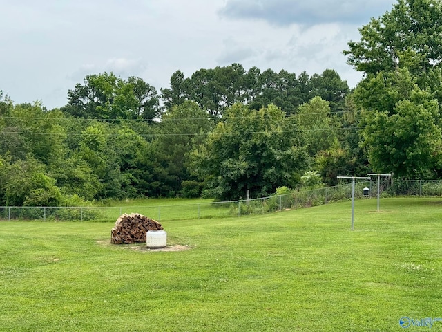 28035 Holland Gin Rd, Elkmont, AL 35620 - view of yard