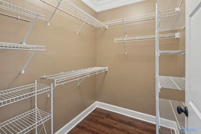 spacious closet with wood-type flooring