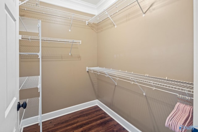 spacious closet featuring wood-type flooring