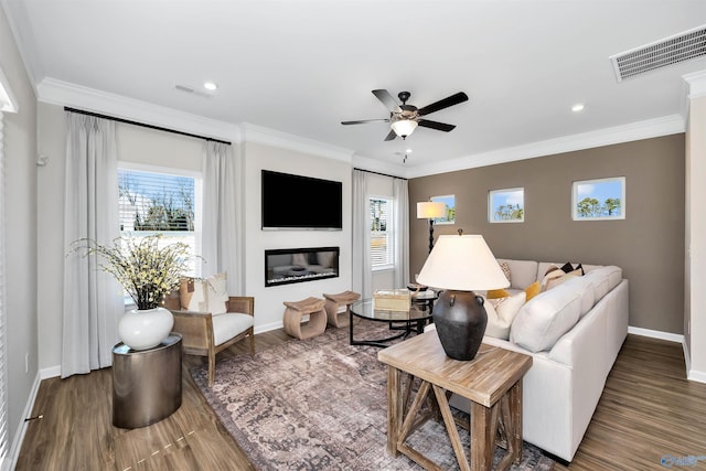 living room featuring ornamental molding, dark hardwood / wood-style flooring, and ceiling fan