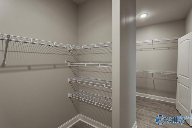 spacious closet with hardwood / wood-style flooring