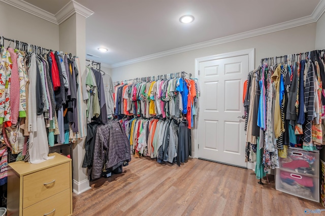 walk in closet with wood-type flooring