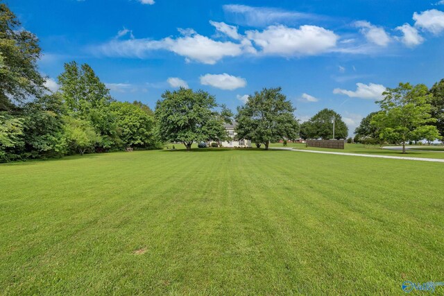 152 Old Vaughn Bridge Rd, Hartselle, AL 35640 - view of green lawn