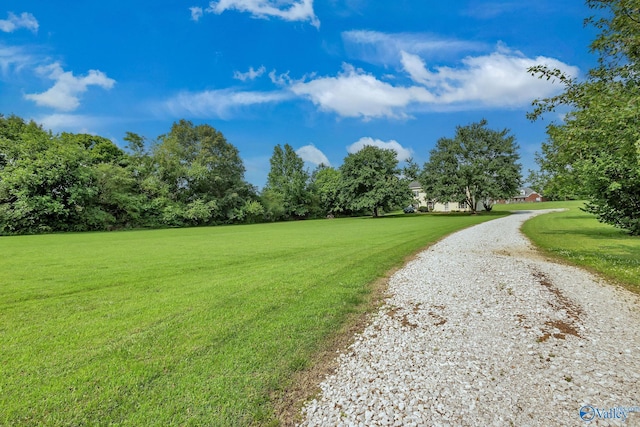 152 Old Vaughn Bridge Rd, Hartselle, AL 35640 - view of property's community with a lawn