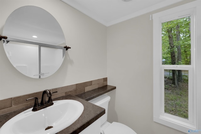 568 County Road 642, Mentone, AL 35984 - bathroom featuring toilet, decorative backsplash, and vanity