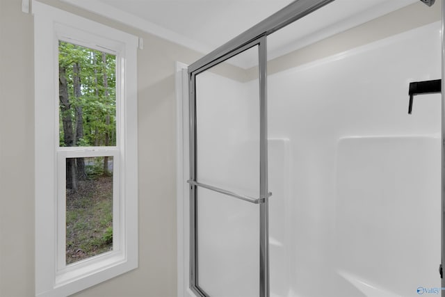 568 County Road 642, Mentone, AL 35984 - bathroom with a shower stall