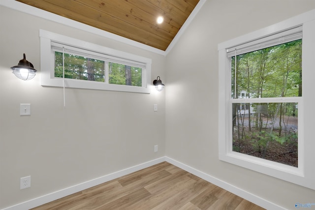 568 County Road 642, Mentone, AL 35984 - unfurnished room featuring lofted ceiling, wood ceiling, healthy amount of natural light, baseboards, and light wood-type flooring