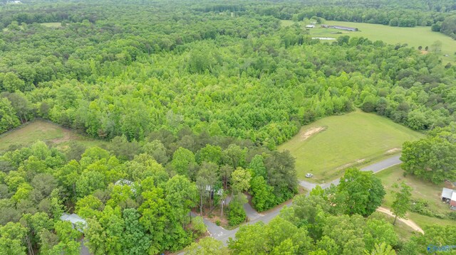 568 County Road 642, Mentone, AL 35984 - aerial view of a forest