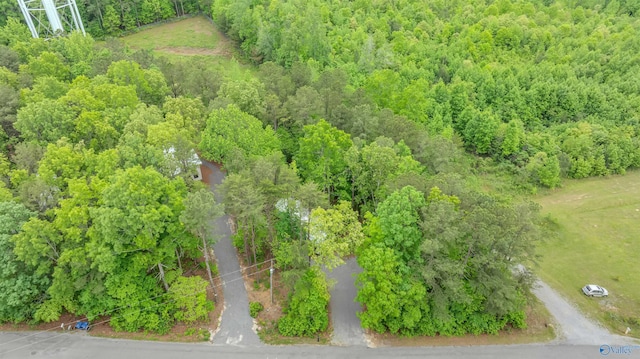 568 County Road 642, Mentone, AL 35984 - drone / aerial view