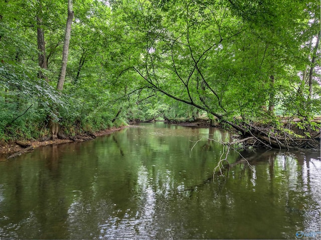 2605 Ready Section Rd, Toney, AL 35773 - water view featuring a heavily wooded area